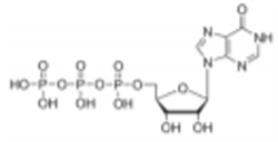 Adenosine_Triphosphate_structure_Graphic